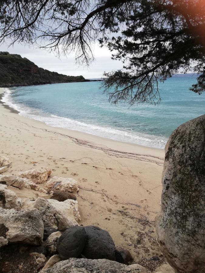 Appartamenti Le Conchiglie E Le Stelle Marine Cala Gonone Bagian luar foto