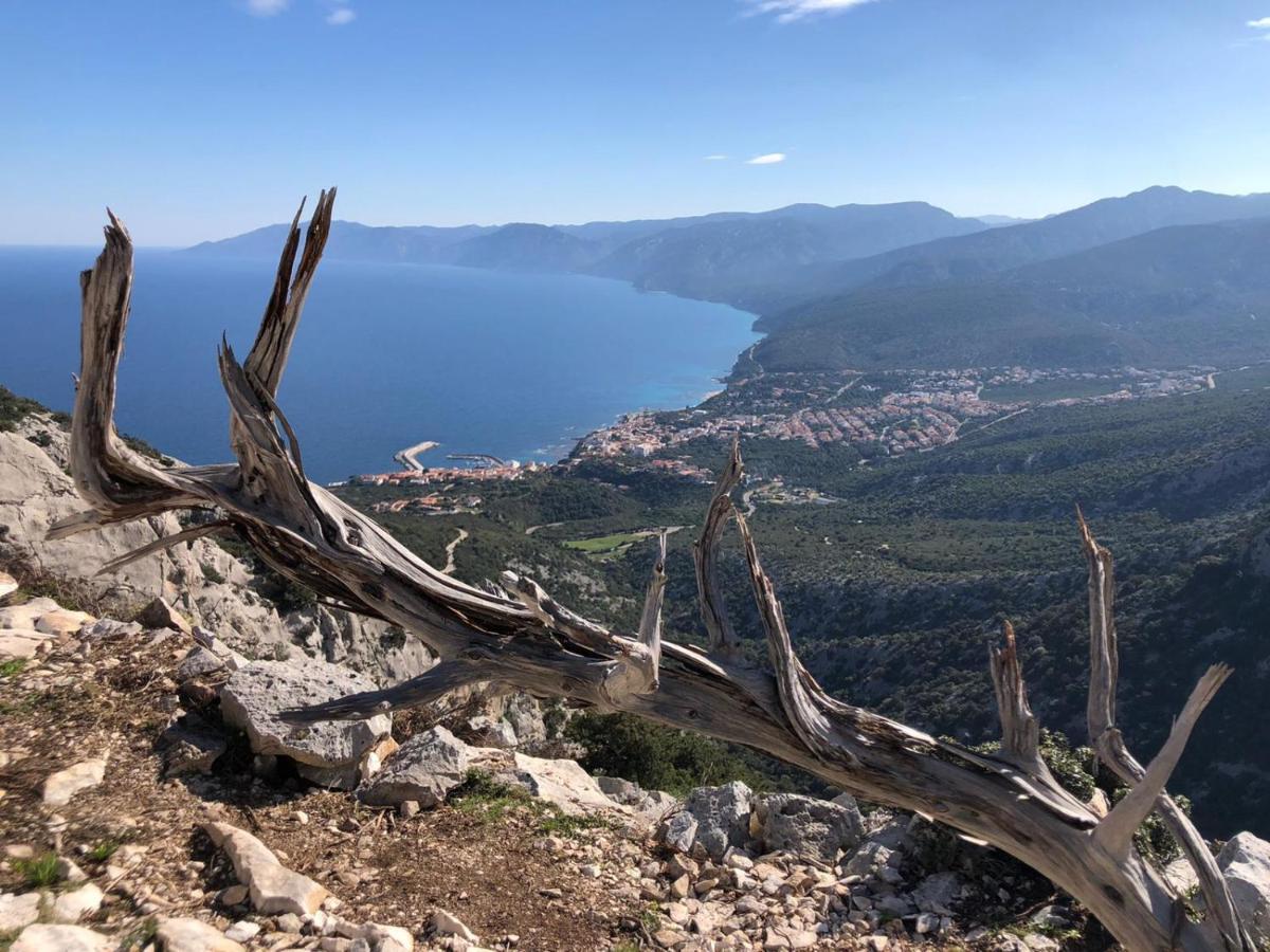 Appartamenti Le Conchiglie E Le Stelle Marine Cala Gonone Bagian luar foto