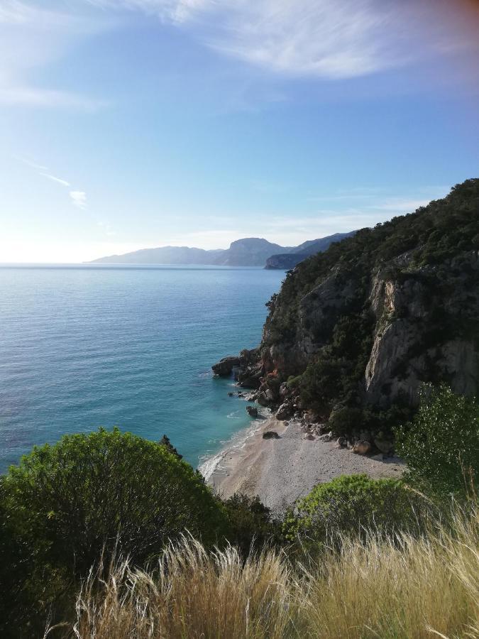 Appartamenti Le Conchiglie E Le Stelle Marine Cala Gonone Bagian luar foto