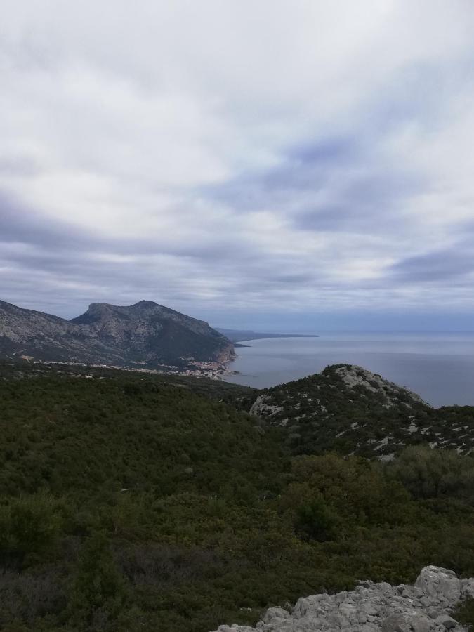 Appartamenti Le Conchiglie E Le Stelle Marine Cala Gonone Bagian luar foto