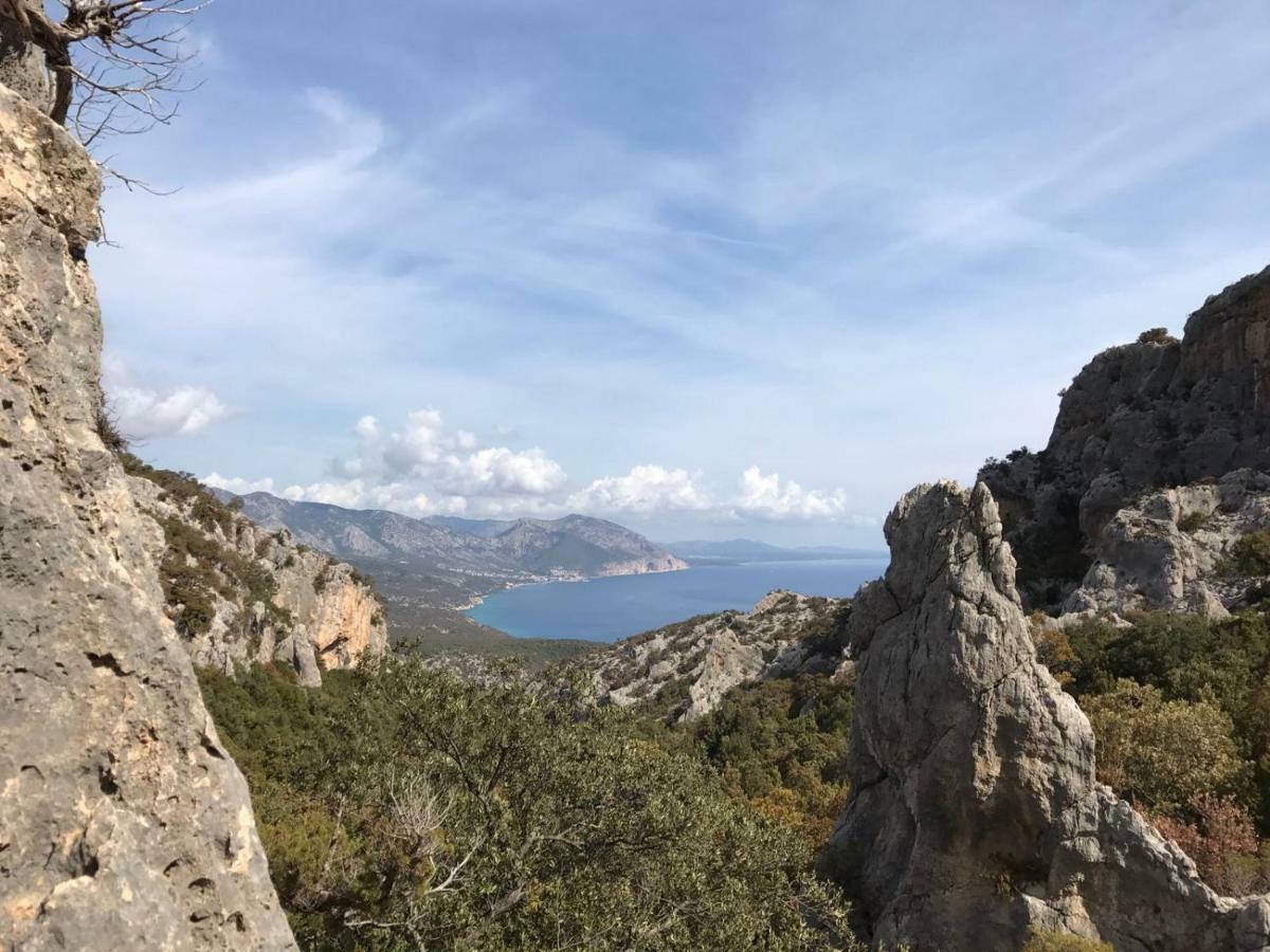 Appartamenti Le Conchiglie E Le Stelle Marine Cala Gonone Bagian luar foto