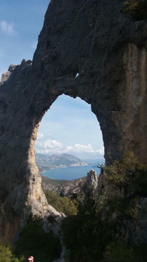 Appartamenti Le Conchiglie E Le Stelle Marine Cala Gonone Bagian luar foto